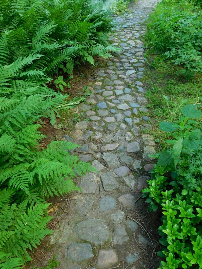 Chemin pavé en cailloutis dans un jardin photo libre de droits Chemin pavé en cailloutis dans un jardin photo libre de droits