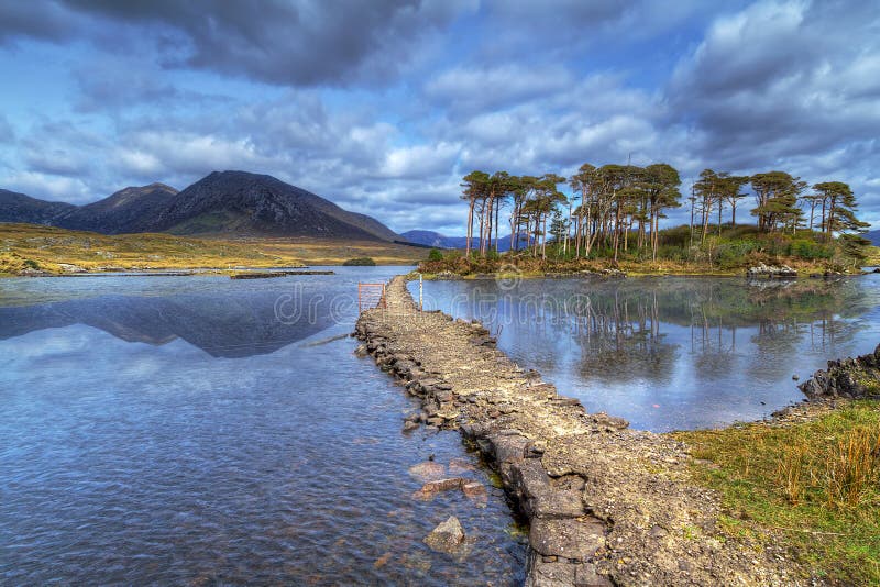 Chemin Vers Lîle Sur Le Lac De Connemara Photo Stock Image Du