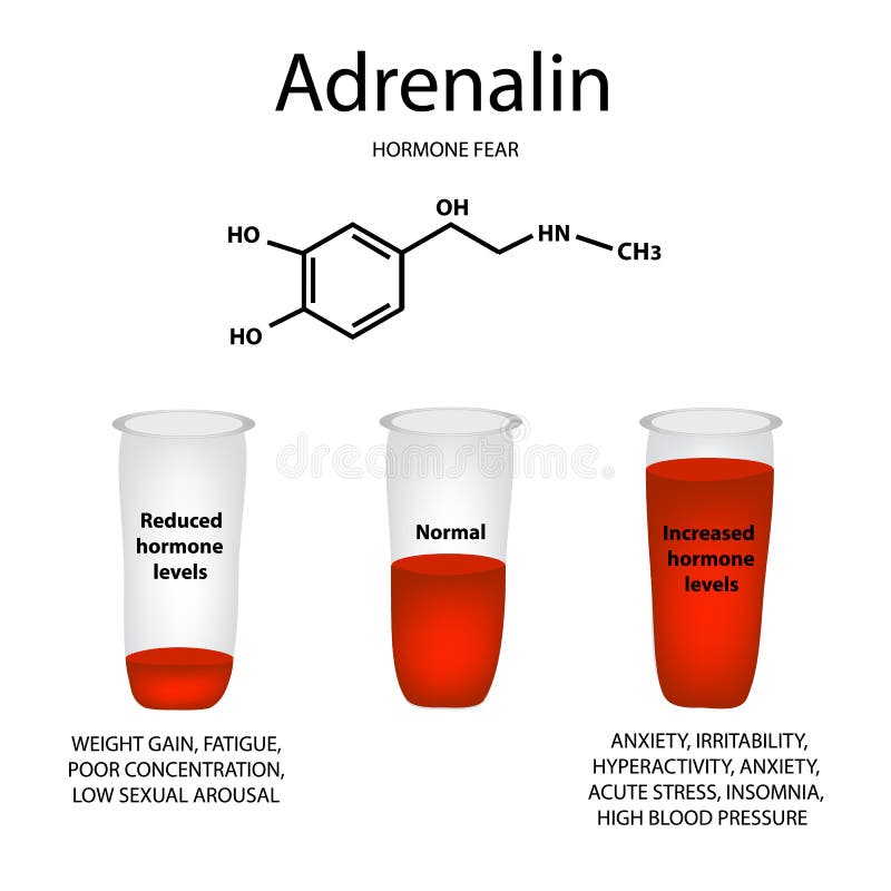 Chemical molecular formula of adrenaline hormone. Hormone fear and stress. Lowering and raising the level of adrenaline. Infographics. Vector illustration. Chemical molecular formula of adrenaline hormone. Hormone fear and stress. Lowering and raising the level of adrenaline. Infographics. Vector illustration