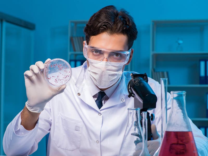 Chemistry Assistant Working in the Chemical Lab Stock Photo Image of