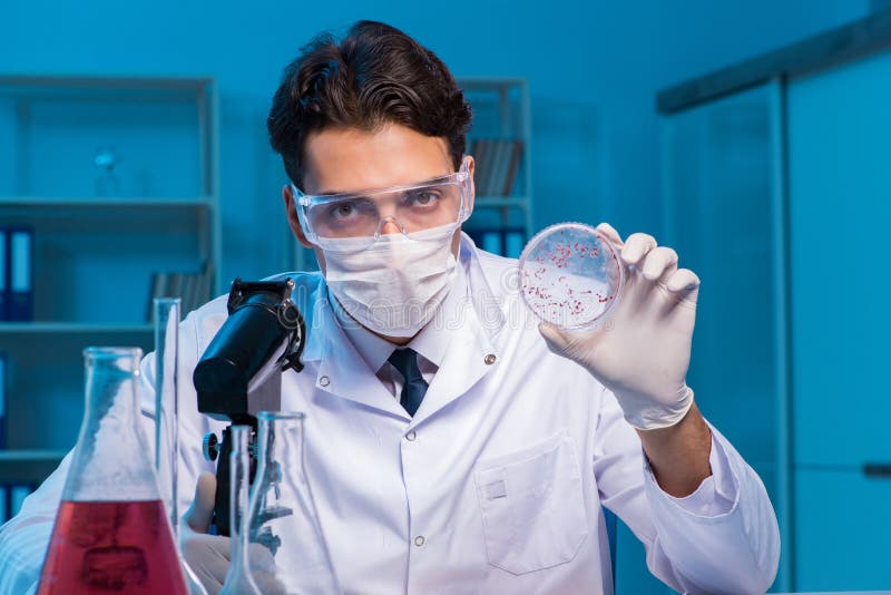 The Chemistry Assistant Working in the Chemical Lab Stock Image - Image ...