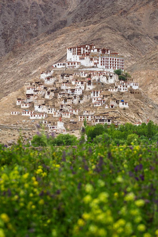 Chemre gompa Buddhist monastery in Ladakh stock photography