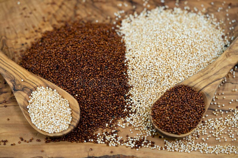 Chenopodium quinoa seeds stock photo. Image of organic 274103548