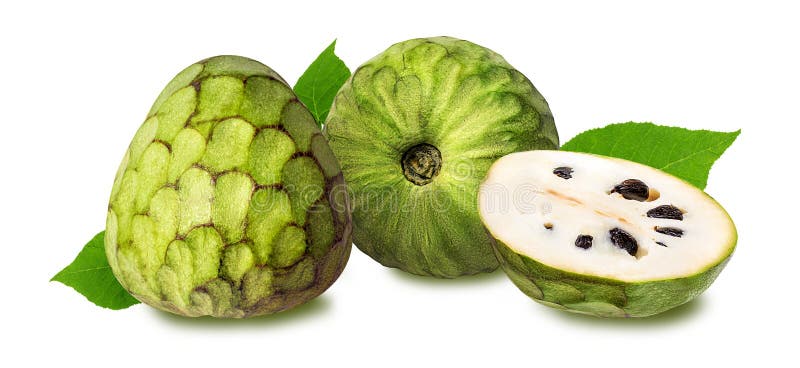 Cherimoya fruit on white. Background stock photo