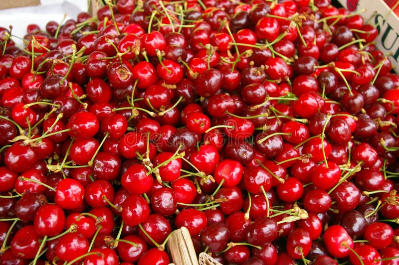 Cherries. stock photo. Image of ripe, close, fresh, cherries 14634776