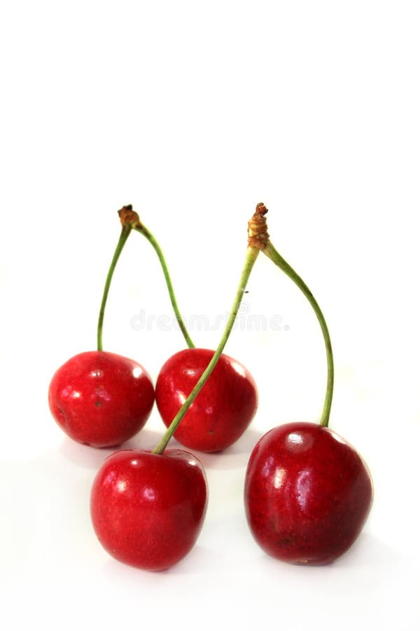 Twin Cherries Stock Images - Download 101 Royalty Free Photos