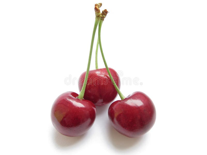 Cherries stock image. Image of food, fruits, cherry, nature - 20086233