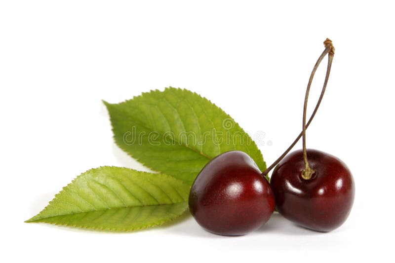 Cherries