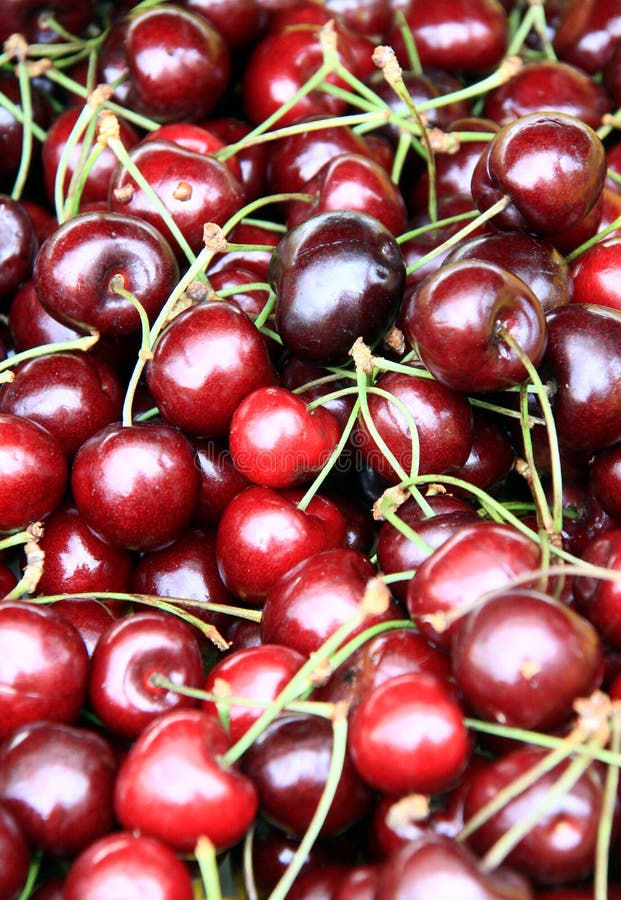 A bunch of cherries stock image. Image of cherry, fruits 20342261