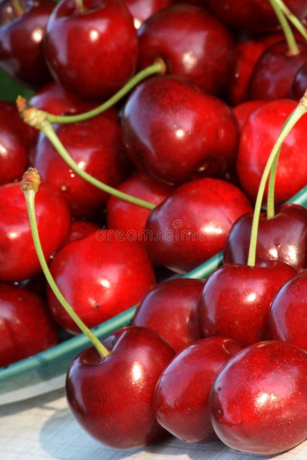 Cherries stock photo. Image of delicious, juicy, fruit 7743298