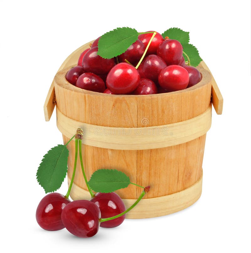 Cherries in a bucket stock image. Image of gourmet, delicious 69396035