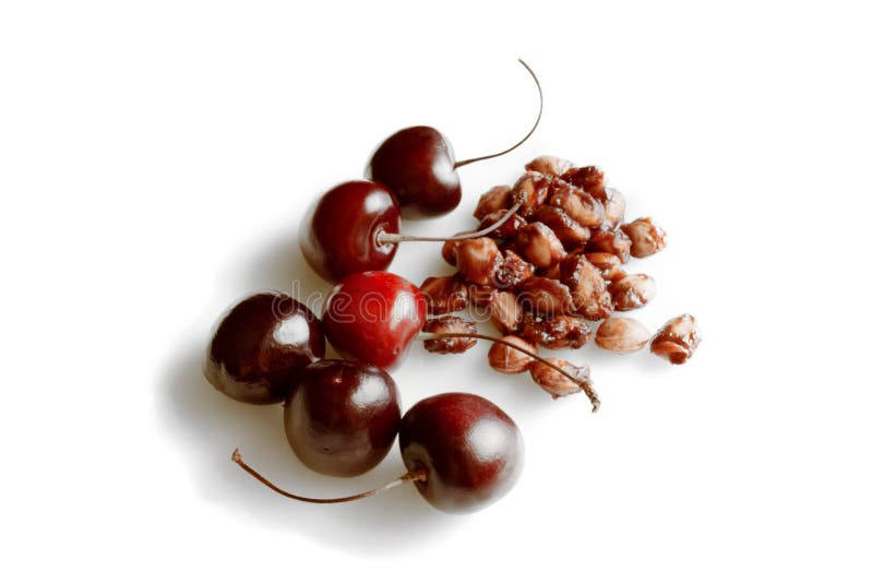 Cherries and cherry seeds stock image. Image of season 61518853