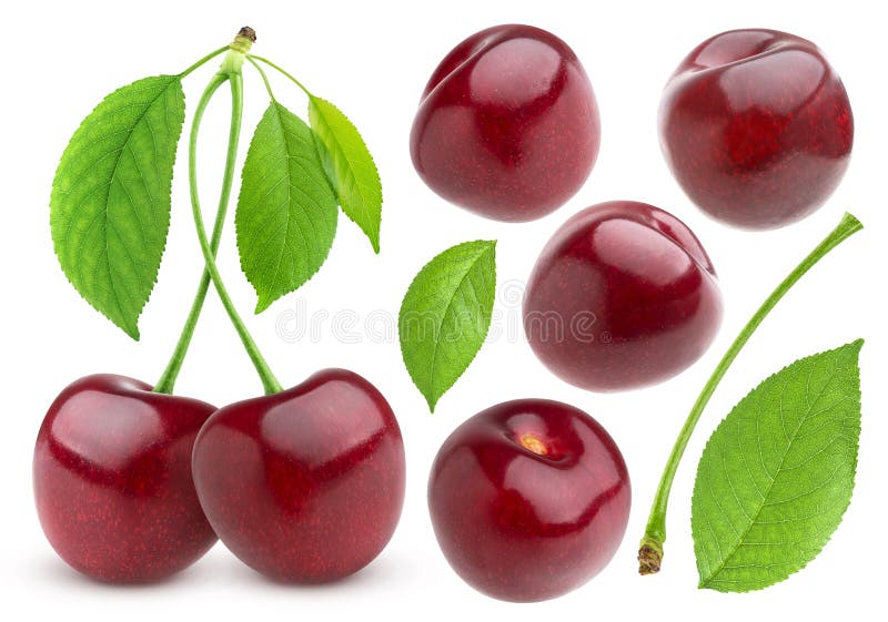 Cherry isolated on white background. Cherries collection