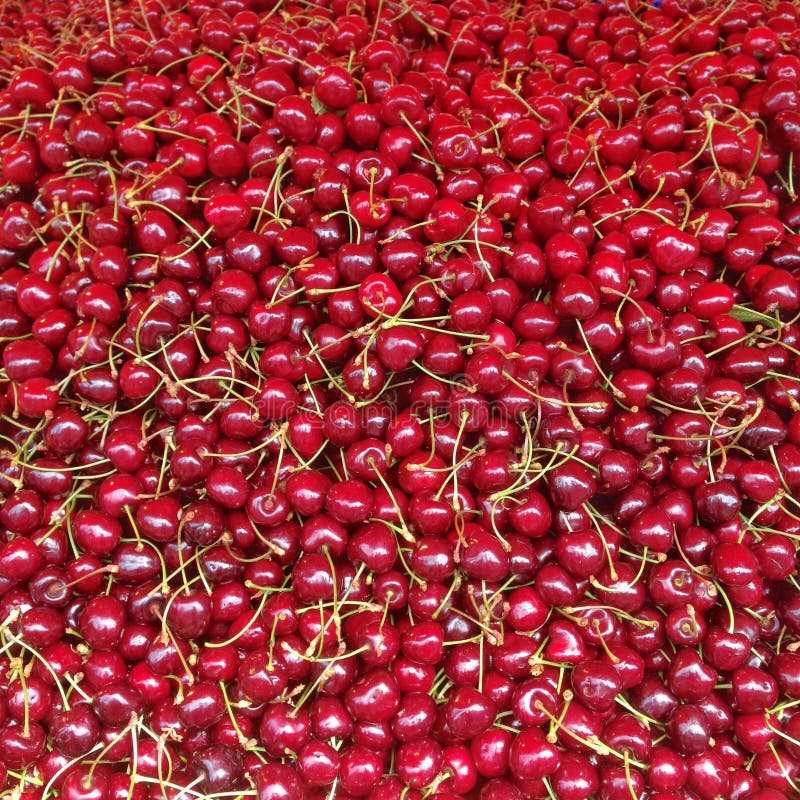 Cherries at a Farmers Market Stock Photo Image of natural, farmer