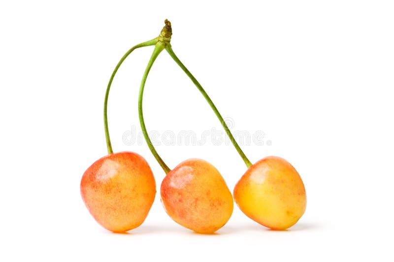 Orange cherries stock image. Image of isolated, healthy 5443707