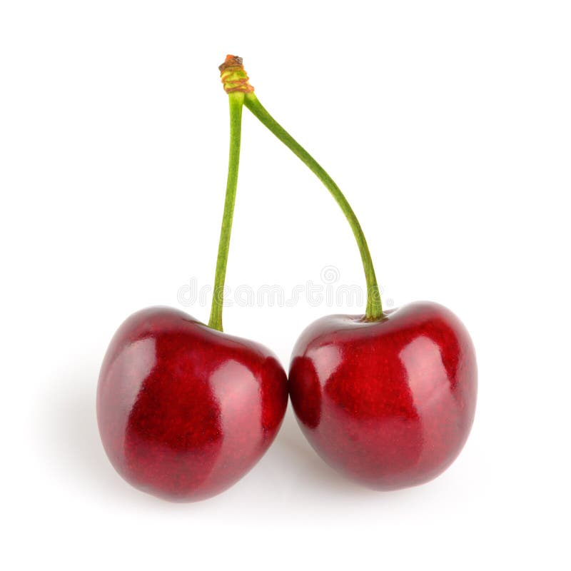 Cherries isolated stock photo. Image of stem, sweet, ripe - 46216920