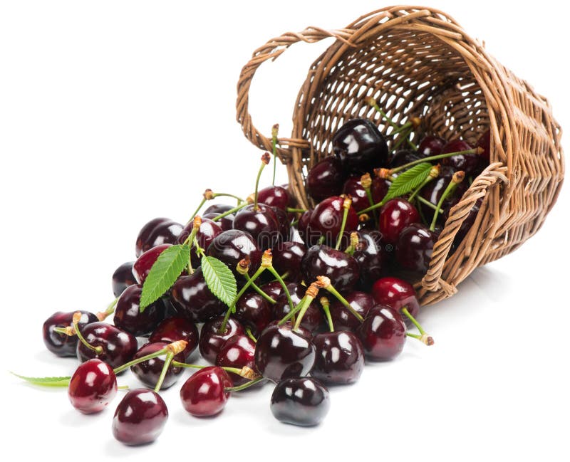 Cherries with Leaves in a Basket is Scattered Stock Image Image of
