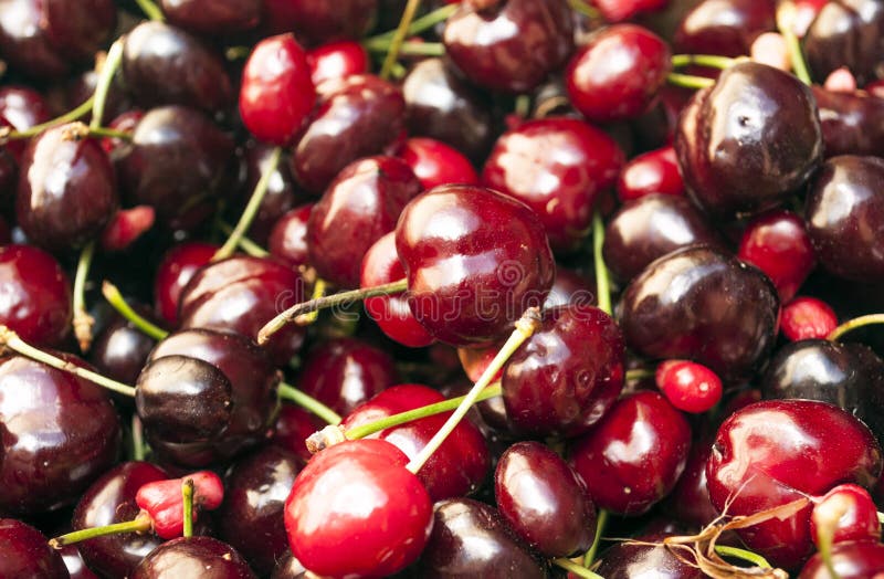 Cherries stock photo. Image of delicious, juicy, healthy 43647718