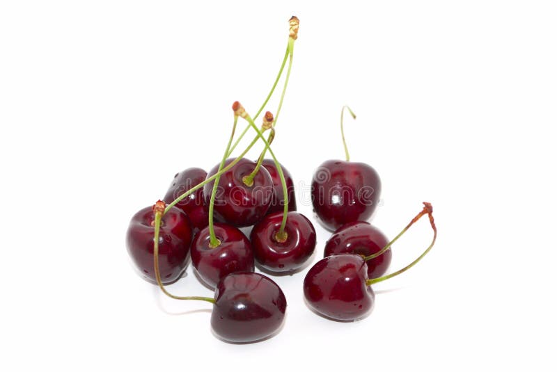 Cherries with stems stock image. Image of gourmet, isolated 15526829