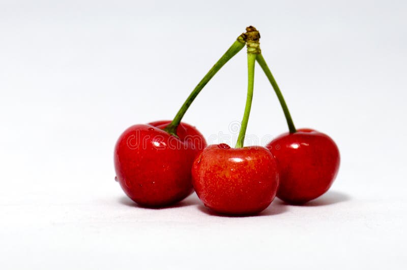 Cherry stock photo. Image of eating, delicious, sweet - 15955502