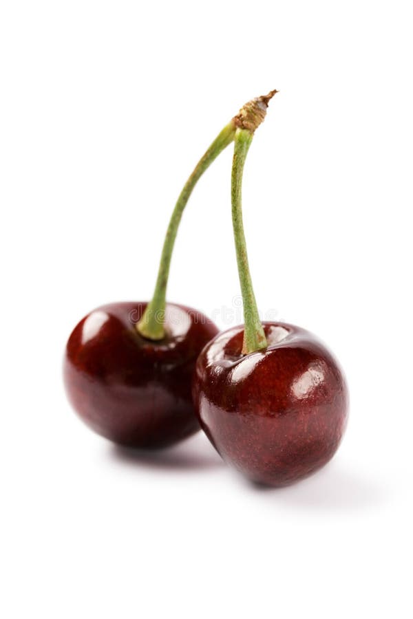 Cherry royalty free stock images