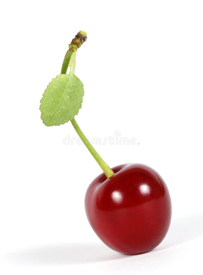 Cherry