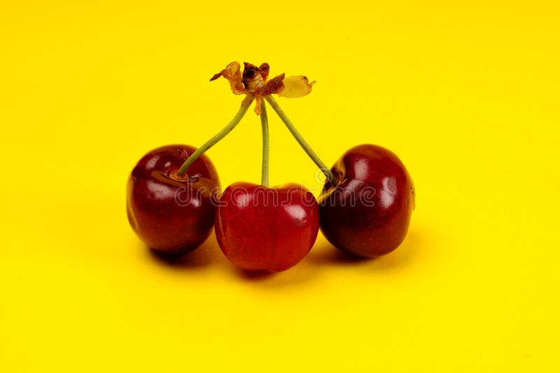 Cherry