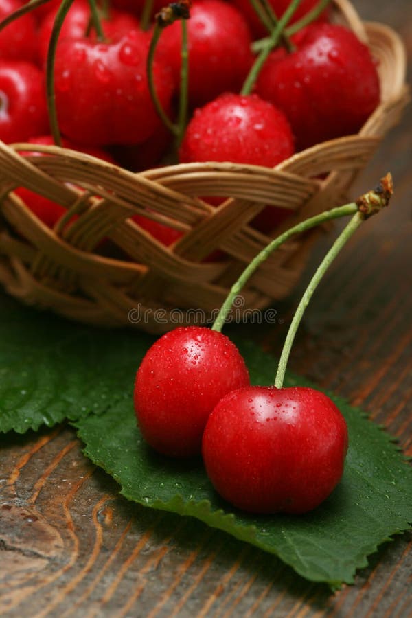 Cherry