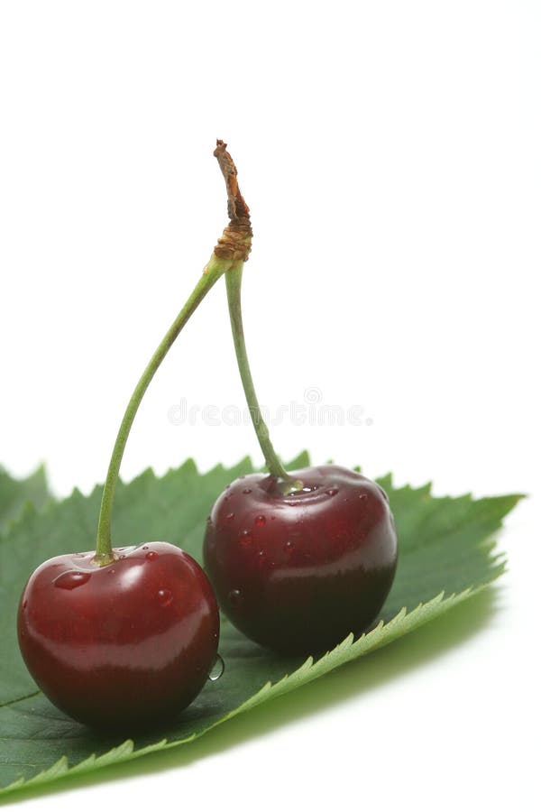 Cherry