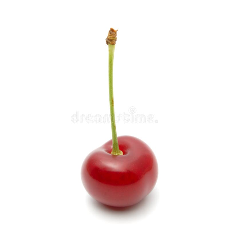 Cherry stock photo. Image of healthy, isolated, food - 16208388