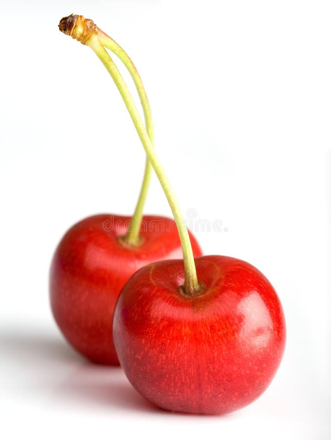 Cherry stock photo. Image of waterdrop, stem, dessert - 33405424