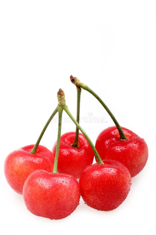 Cherry