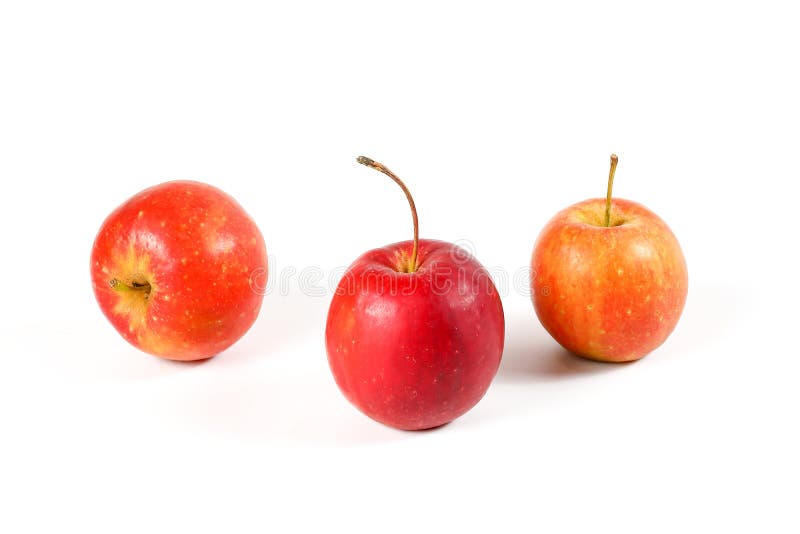 Cherry Apple fruit stock photo. Image of types, fresh 105288090