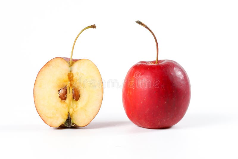 Cherry Apple fruit stock photo. Image of pear, little 105288282