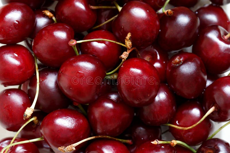 Cherry berries stock photo. Image of bigarreau, food 55340054