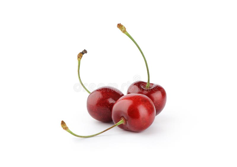 Cherry berries stock photo. Image of vegetarian, nature - 31799184