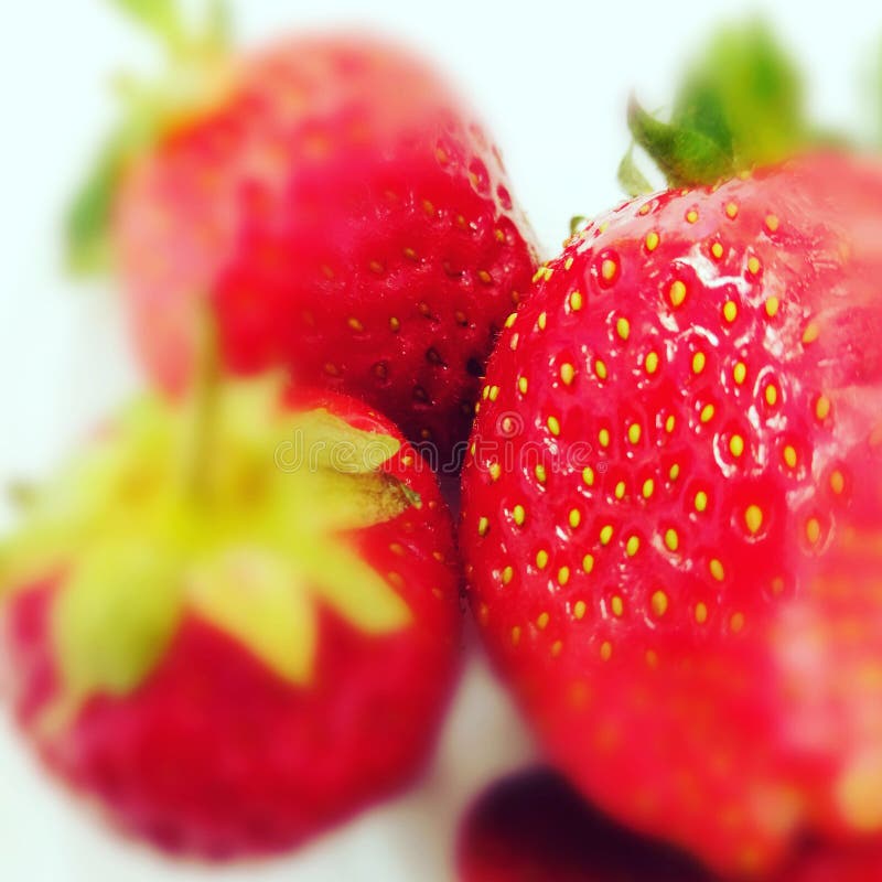 Cherry berry stock photo. Image of cherry, like, berry 117367556