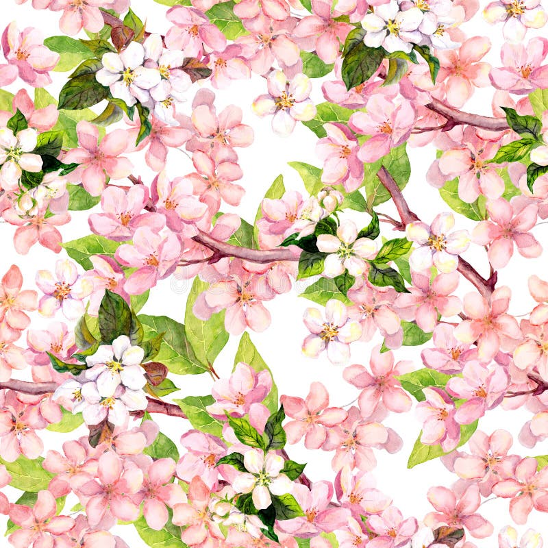 Cherry blossom, apple pink flowers. Floral repeating pattern. Watercolor