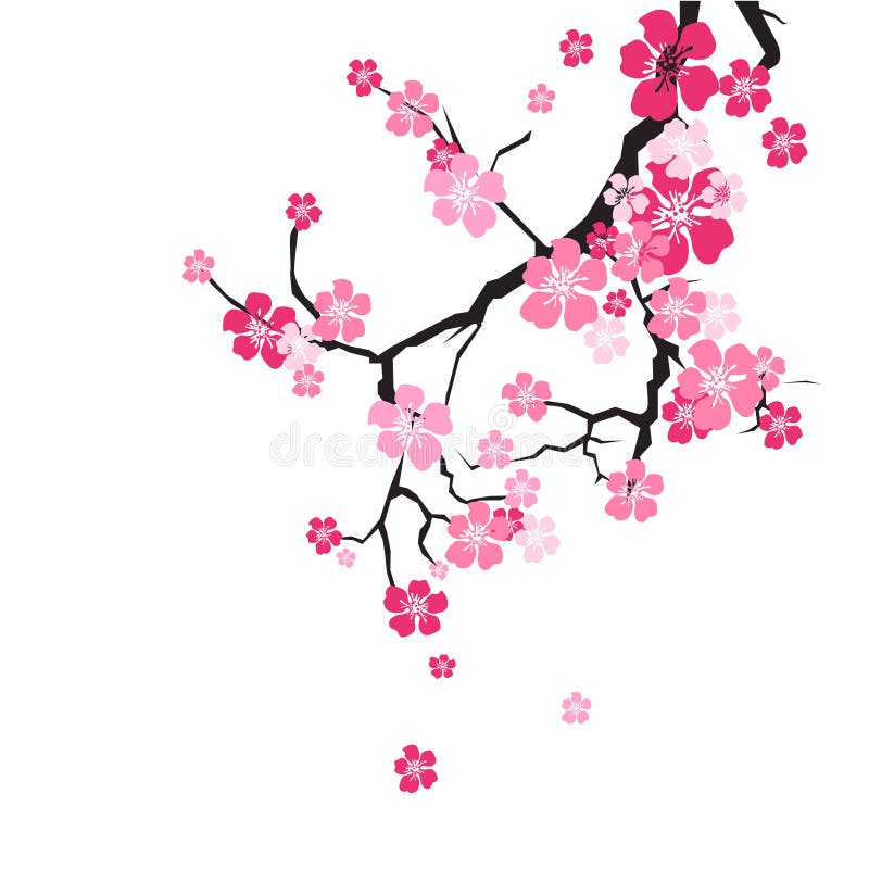 Cherry Blossom Background Sakura Flowers-Roze op Tak