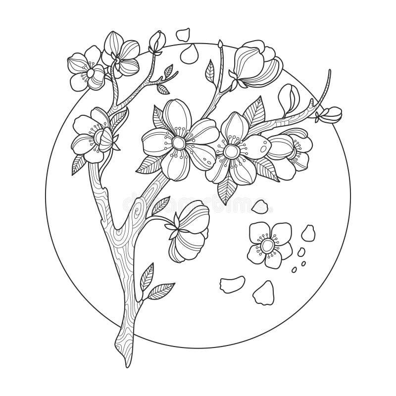 Line Drawing Simple Cherry Blossom Outline / Twig cherry blossoms