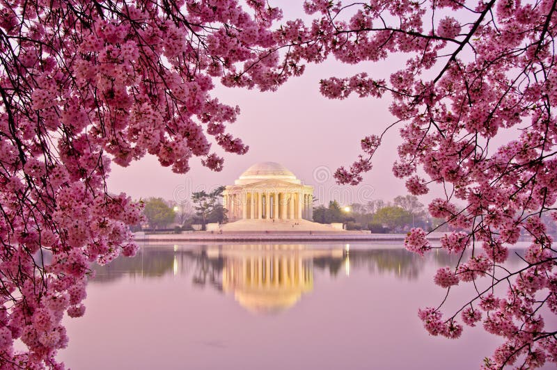 Cherry Blossom Festival in Washington, DC