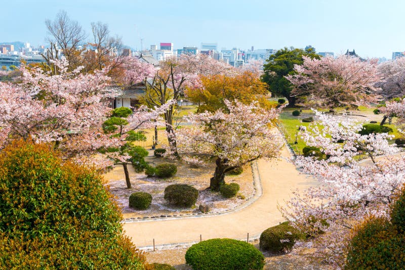 Cherry blossom garden with full of sakura in Hanami festival in stock photos Cherry blossom garden with full of sakura in Hanami festival in stock photos