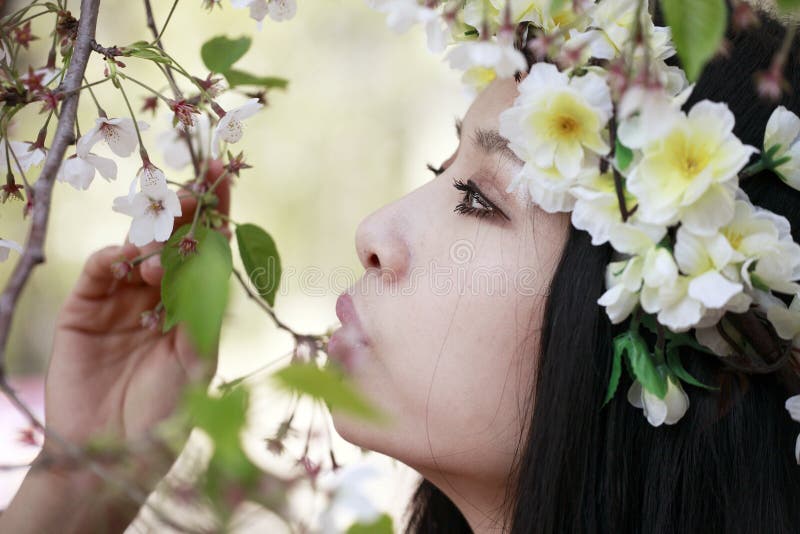 Cherry Blossom Girl Picture. Image 13999678