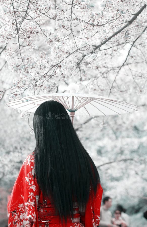 Cherry blossom season