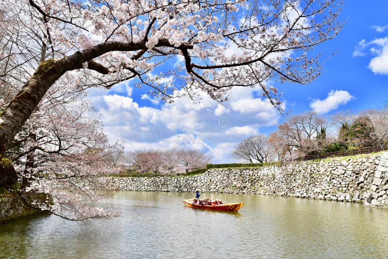Cherry Blossom Season in Japan Boat Trip Editorial Stock Photo - Image ...