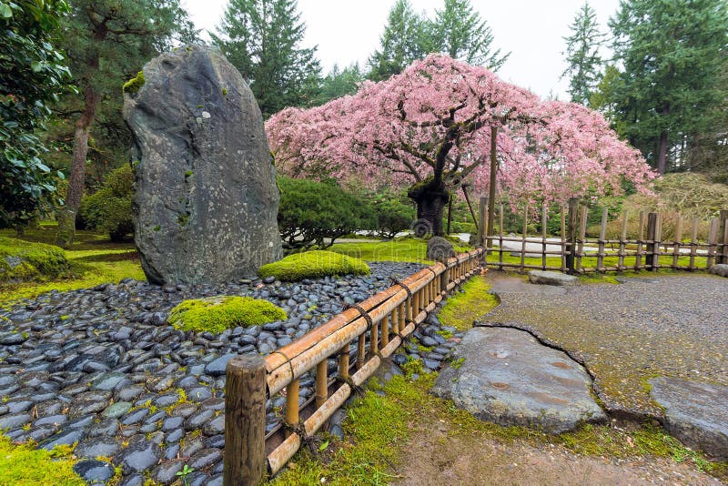 Cherry Blossom Tree door Natuurlijke Rots royalty-vrije stock afbeeldingen Cherry Blossom Tree door Natuurlijke Rots royalty-vrije stock afbeeldingen
