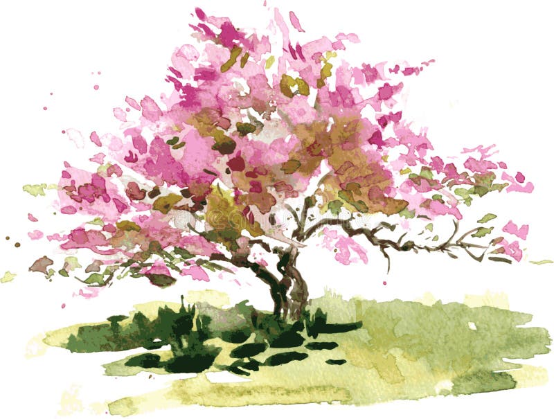 Cherry Blossom Drawing Stock Photos and Images - 123RF