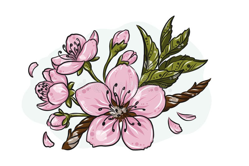 Cherry Blossom Vetora Lineart Illustration A mão de Sakura Spring tirada esboça para o promo sazonal, venda, cartão romântico, ilustração royalty free Cherry Blossom Vetora Lineart Illustration A mão de Sakura Spring tirada esboça para o promo sazonal, venda, cartão romântico, ilustração royalty free