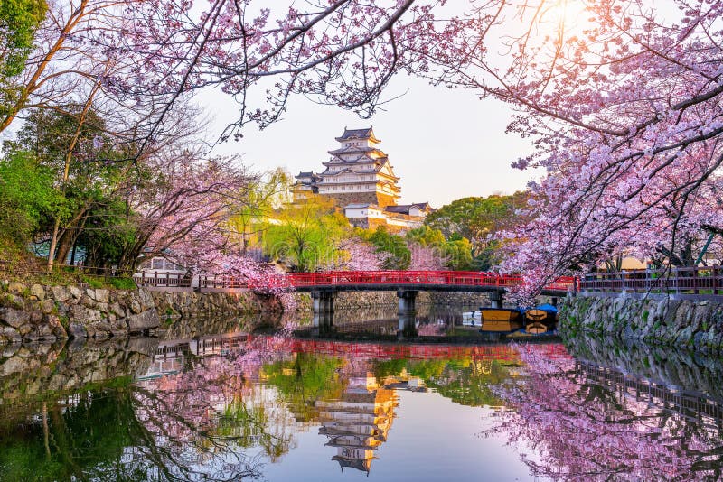 Cherry Blossoms and Castle in Himeji, Japan. Stock Image Image of himeji, historical 168726055