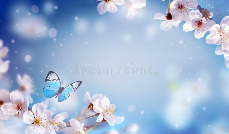Cherry Blossoms Over Blurred Nature Background. Spring Flowers. Spring Background with Bokeh Stock Image - Image of growth, blossom: 166321995 Cherry Blossoms Over Blurred Nature Background. Spring Flowers. Spring Background with Bokeh Stock Image - Image of growth, blossom: 166321995